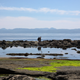 Illustration for article titled Pics from the (Ocean Floor): 2018-05-05 at Botanical Beach